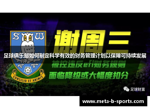 足球俱乐部如何制定科学有效的财务管理计划以保障可持续发展 足球俱乐部如何制定科学有效的财务管理计划以保障可持续发展